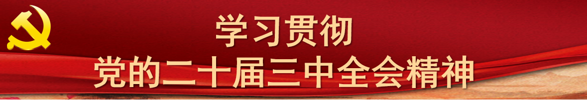 学习贯彻党的二十届三中全会精神